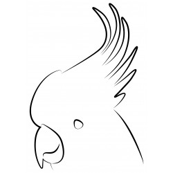 Polyplus builders film