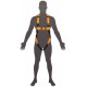 LINQ H101 Essential Harness