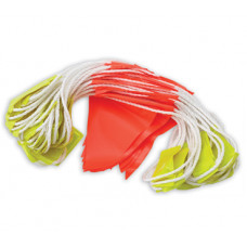 ProChoice Bunting - Day/Night