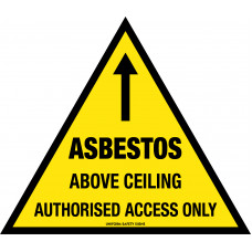 Asbestos Above Ceiling - Authorised Access Only
